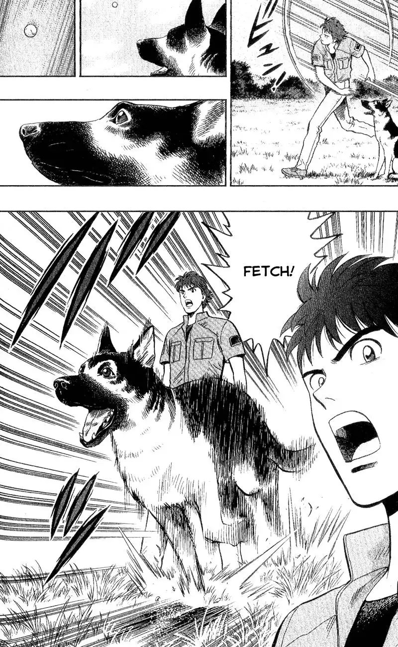 Animal Sense Chapter 3 34